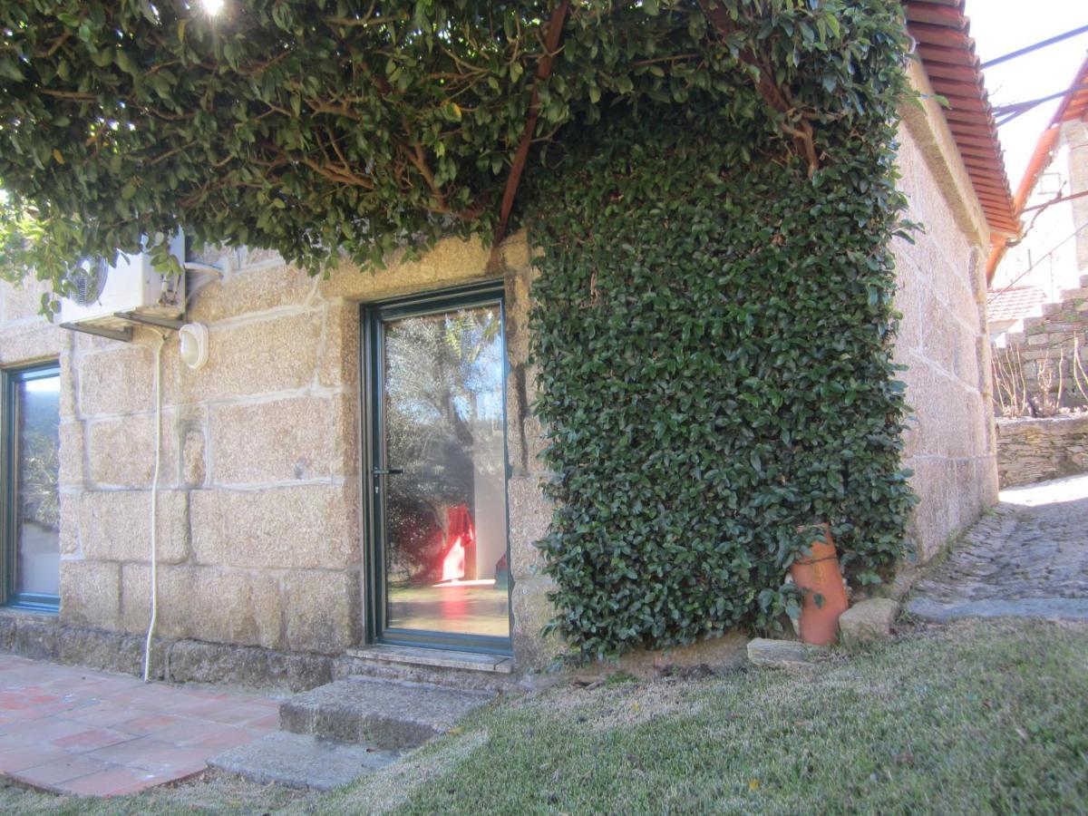 Вилла Quinta Das Aranhas Каштелу-ди-Пайва Экстерьер фото